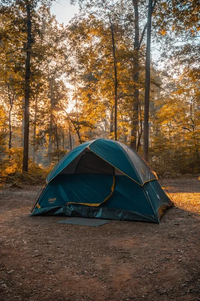 A Camping Trip To Remember